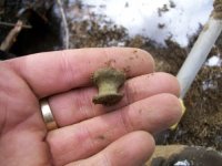 FEB 13TH CELLAR HOLES WITH SNIFFY 002 [].jpg