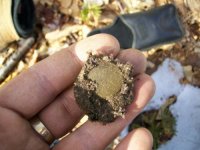 FEB 21 SOLO CELLAR HOLE HUNT BUCKLES 009 [].jpg