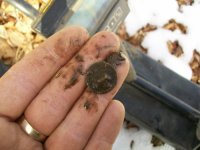 FEB 21 SOLO CELLAR HOLE HUNT BUCKLES 010 [].jpg