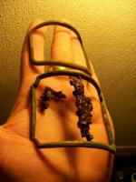 FEB 21 SOLO CELLAR HOLE HUNT BUCKLES 013 [].jpg