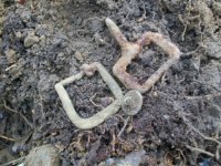 FEB 26TH SOLO CELLAR HOLE HUNT 001 [].jpg