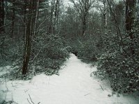 old snow covered road 1.JPG