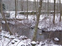 mill site 1.JPG