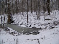1797 l.c. site 1.JPG