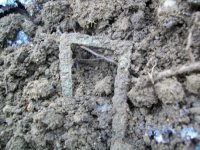 FEB 28TH  CELLAR HOLE and MILL SITE HUNT 004 [].jpg