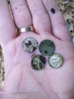MARCH 5TH COLONIAL BARN HOLE UP STREET 009 [].jpg