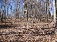 old farm fields and stone walls.JPG