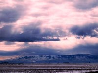 IMG_0053 copy (Small).jpg