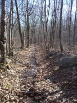 MARCH 7TH COLONIAL TRAIL CELLAR HOLE 007 [].jpg