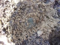 MARCH 7TH COLONIAL TRAIL CELLAR HOLE 001 [].jpg