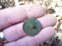 MARCH 7TH COLONIAL TRAIL CELLAR HOLE 002 [].jpg