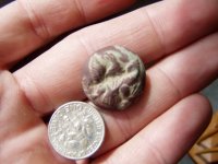 eagle button.JPG