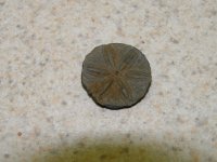 03-09-10 pewter -2.jpg