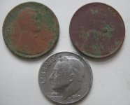 Silver Wheats 3-13.JPG