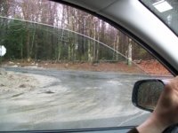 MARCH 13TH SOGGY CELLAR HOLE HUNT WITH SNIFFY 009 [].jpg