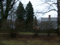 MARCH 13TH SOGGY CELLAR HOLE HUNT WITH SNIFFY 012 [].jpg