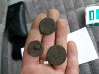 MARCH 13TH SOGGY CELLAR HOLE HUNT WITH SNIFFY 006 [].jpg