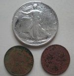 Silver Wheats 3-14.JPG