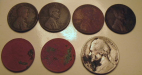 Silver Wheats 3-19.JPG.png