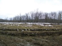 MARCH 22nd HUNT WITH SNIFF 4TH COPPER 001 [1600x1200].jpg