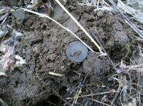 MARCH 22nd HUNT WITH SNIFF 4TH COPPER 004 [1600x1200].jpg