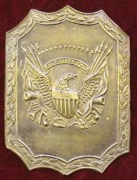 InsigniaHatPlateMilitia.jpg