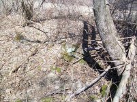 APRIL 3 HUNT WITHGARY  7 8 9TH COPPER 010 [1600x1200].jpg