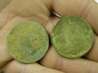 04--06-11 Park hunt Coppers.jpg