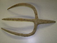 04--14-11 NY hunt Pitchfork.jpg