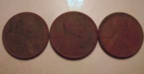 Wheats 4-18.JPG