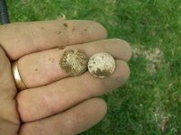 EASTER GREEN HUNT SEATED DIMES 003 [1600x1200].jpg