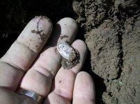 EASTER GREEN HUNT SEATED DIMES 005 [1600x1200].jpg