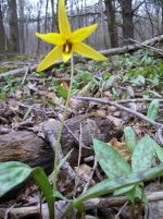 APRIL 30TH HUNT 1849 LC 005 [1600x1200].jpg