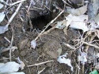 MAY 1ST  HUNT NEXT DOOR 1850 LC 005 [1600x1200].jpg