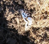IMG_5222.JPG
