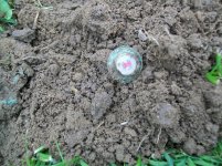 MAY 8TH MOTHERS DAY HUNT CHURCH GREEN 006 [1600x1200].jpg