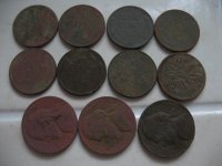 Wheats 5-20-22.JPG