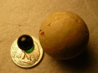 021Todays finds May 24.jpg