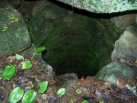 JUNE 12TH CELLAR HOLES DB LC 013 [640x480].jpg