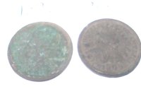 Image237.jpg