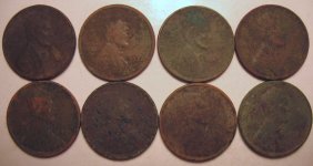 Wheats 6-15.JPG