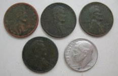 Silver Wheats 6-19.JPG