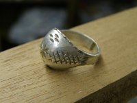 06-24-11 ring -5.jpg