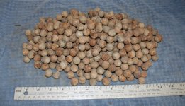 Musket Balls 1 downsized.jpg