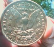 dollar back clean.jpg