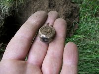 JULY 4TH HUNT SILVER 001 [640x480].jpg