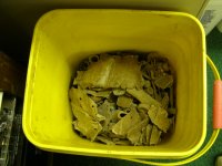clean up - lead.jpg