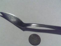 Image308.jpg