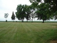 7-29-11 #5.jpg