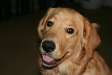 IMG_6240.JPG